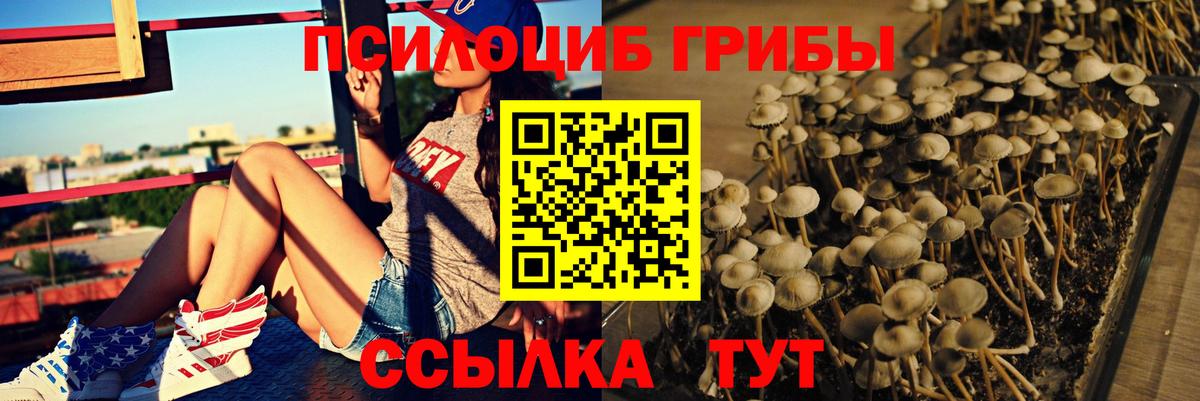 Псилоцибиновые грибы MAGIC MUSHROOMS Нурлат